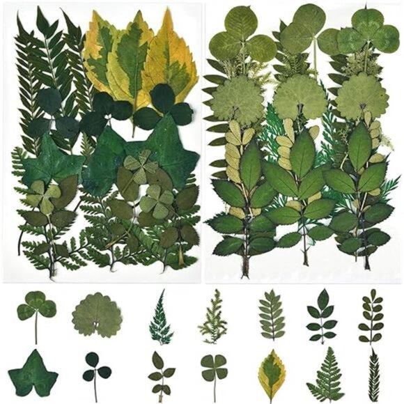 42 PCS Dried Leaves Pressed Leaves Dried Pressed Flowers for Craftsl Dried Leave - Picture 6 of 6